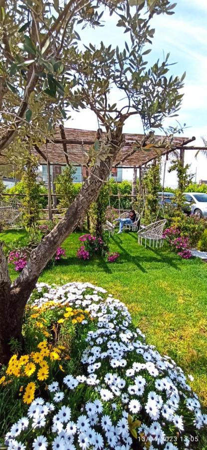 La Villa Degli Dei - Guest House Castellammare di Stabia Eksteriør billede